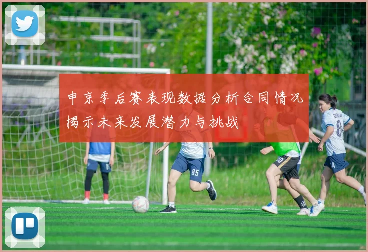 申京季后赛表现数据分析合同情况揭示未来发展潜力与挑战