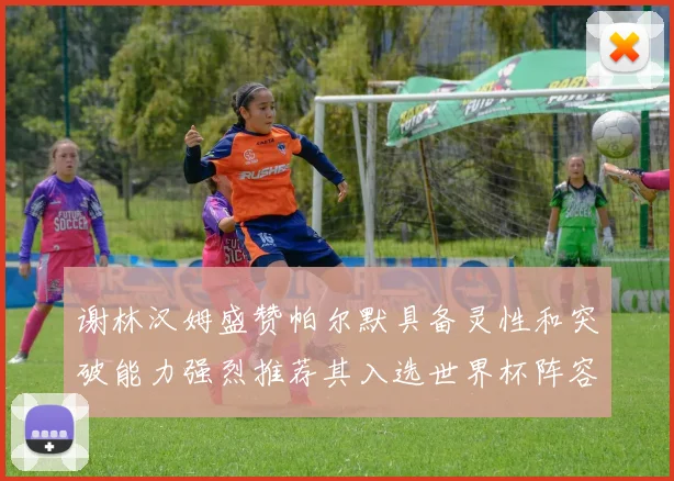 谢林汉姆盛赞帕尔默具备灵性和突破能力强烈推荐其入选世界杯阵容