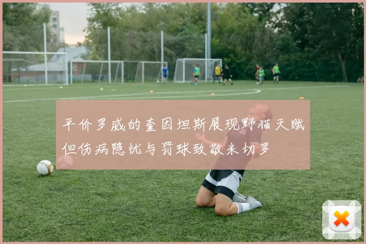 平价罗威的奎因坦斯展现野猫天赋但伤病隐忧与罚球致敬米切罗